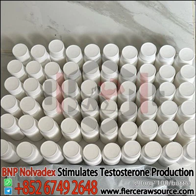 BNP Nolvadex 20 mg CAS:54965-24-1