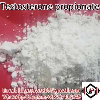 Testosteronpropionaat CAS 57 85 2