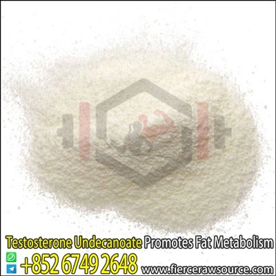 Testosteron Undecanoate Raws Poeder CAS:5949-44-0